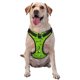 thumbnail image 1 of Balery Golf Sport Club Arnés para Perros Grandes Antitirones, Arnés con Correa para Gato, Arnés Tipo Chaleco para Perros Pequeños-Medium, 1 of 6