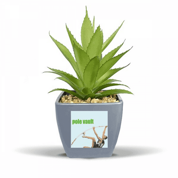 Pole Vault Field Events Art Deco Fashion Fake Pineapple Flower Pot Vase Mini Decor