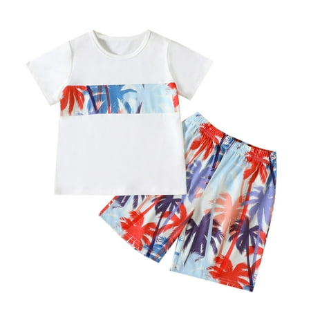 

TAIAOJING Toddler Baby Boy Summer Outfit Short Sleeve Floral Prints T Shirt Pullover Tops Shorts Kids Clothes Set 18-24 Months