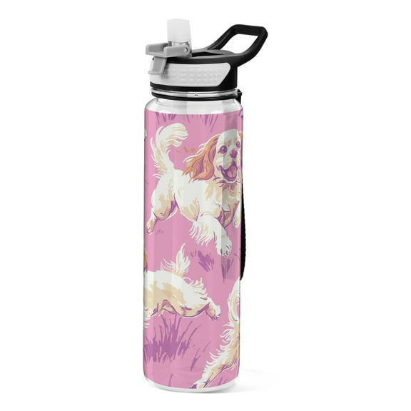 BZSMCE Sport Bottle Bubbly Spring Outdoor sports Water Bottle Size: 10.4x3in