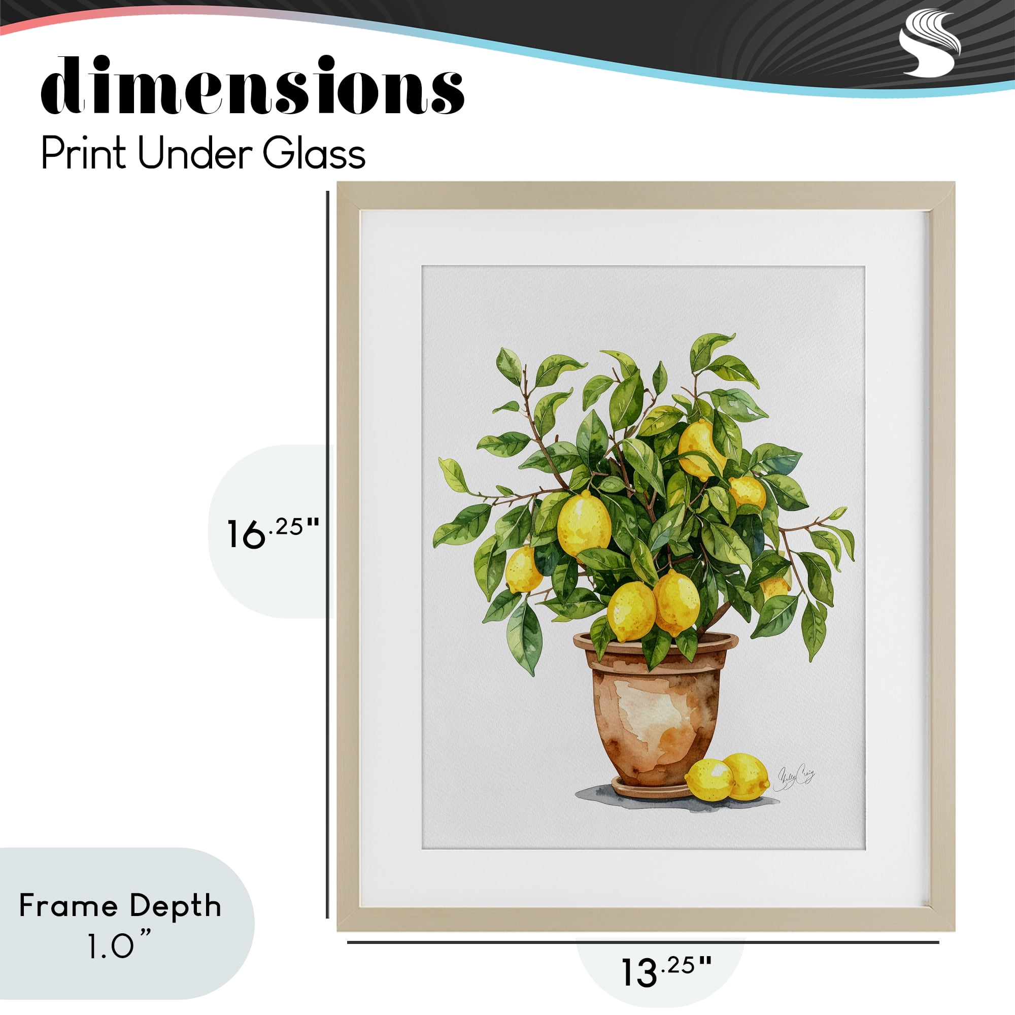 Stupell Industries Potted Lemon Tree Birch Framed Print Under Glass, design by Shelly Craig