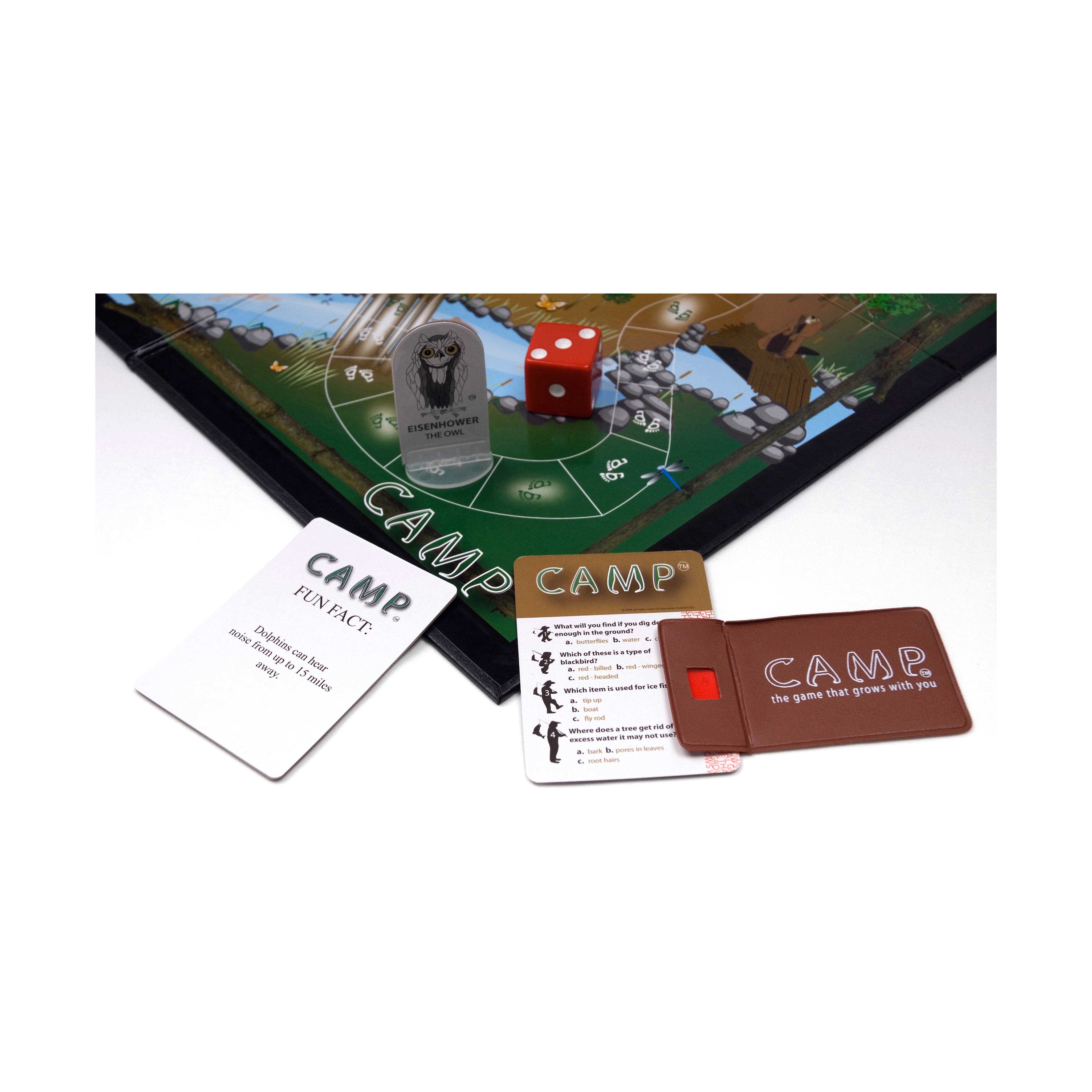 Camp Board Game