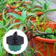 thumbnail image 4 of 100 Uds práctico cuentagotas de agua creativo dispositivo de riego de plantas en maceta cabezas de goteo JShteea  El nuevo, 4 of 9
