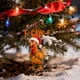 thumbnail image 5 of Seyotauo Hilarious Funny Angry Chicken Christmas Ornaments - Cheeky Chicken Pendant Christmas Tree Decorations Indoor Holiday Decor, Personality Christmas Gifts for Friends & Family, 5 of 6
