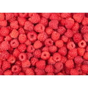CZ Grain Heirloom Fruit Mix Plant Seeds (6 Pack)