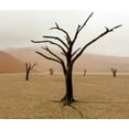 thumbnail image 2 of Kaveney, Wendy 23x20 White Modern Wood Framed Museum Art Print Titled - Namibia, Deadvlei Unusual rainy weather, 2 of 4