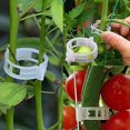 thumbnail image 1 of (50pcs)Plant Clips 50 / 100Pcs Reusable 25mm Plastic Plant Support Clips For Hanging Plants, 1 of 5