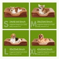 thumbnail image 6 of EDX Premium 42"X32" Orthopedic Dog Bed for XL Dogs - Memory Foam Pet Sofa with Non-Slip Base and Easy-Clean Cover, Brown, 6 of 8