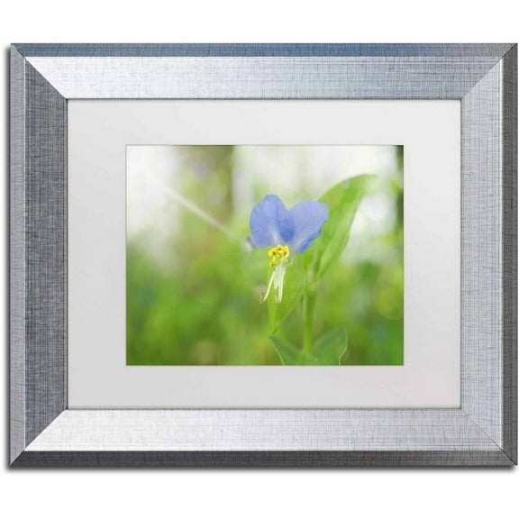 Trademark Fine Art 'Asiatic Dayflower' Canvas Art by PIPA Fine Art, White Matte, Silver Frame