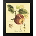thumbnail image 2 of Vision Studio 12x14 Black Modern Framed Museum Art Print Titled - Petite Tuscan Fruits I, 2 of 5