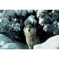 thumbnail image 2 of CafePress - Winter Wolf - 11 oz Ceramic Mug - Novelty Coffee Tea Cup, 2 of 4