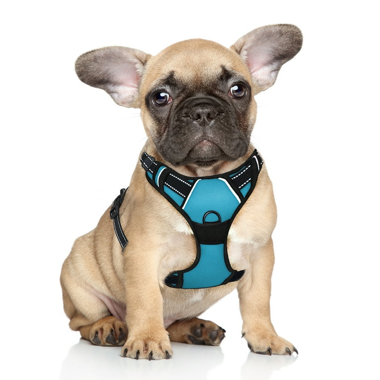 Best running harness for large dogs 2025
