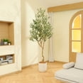 thumbnail image 3 of Nafresh 8FT Tall and Fuller Style Artificial Olive Tree, Realistic Faux Olive Plant for Indoor Décor, 3 of 6