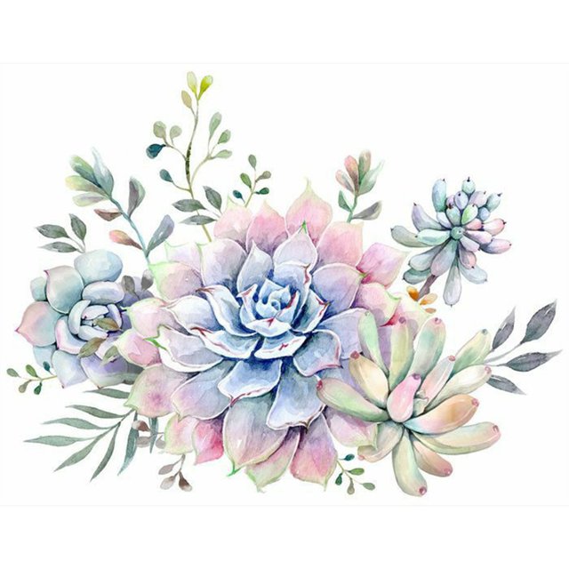 Pintura de diamante (DB3269) Cuadrado DIY Plantas suculentas Imagen de diamantes de imitación 50x70cm FLhrweasw Nuevo