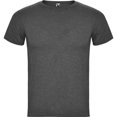 thumbnail image 1 of Roly Mens Fox Heather Short-Sleeved T-Shirt, 1 of 3