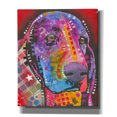 thumbnail image 1 of Epic Graffiti 'Pantone Pop Basset Hound' by Dean Russo, Canvas Wall Art, 20"x24", 1 of 8