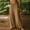*Khaki, variant on ClodeEU Womens Linen Blend Wide Leg Pants with Pockets,Elast Waist Casual Loose Cozy Pant Khaki,Womens Plus XL