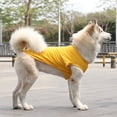 thumbnail image 1 of Xiao Hua Chaleco transpirable para perros y gatos, sudadera para cachorros, ropa para perros, abrigos para perros pequeños, medianos y gatos, XS, A25, 1 of 4
