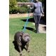 thumbnail image 2 of Dog bowl 6FT length, two stalks with traffic pillow, heavy type, reflective double handles, 2 of 5