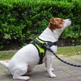 View all media