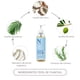 thumbnail image 2 of Dr. Natural Jabón Puro de Castilla Multiusos. 473 ml Hierbabuena. A Base de Plantas y Aceites Naturales. 100% Natural. Hipoalergénico y Ultrahidratante apto para todo tipo de Pieles, 2 of 7