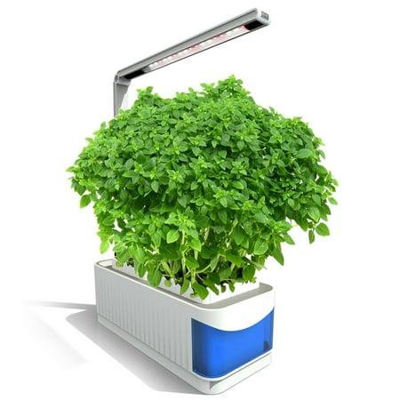 Indoor Kitchen Herb Garden Kit Multifunctional Smart Indoor Herb Gardening Planter Kit Hydroponic Growing System with LED Plant Grow Light AC100-240V ()