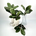 thumbnail image 4 of 4pcs Artificial Magnolia Leaf Wedding Decor, Spring Indoor Home Decor, Decor Fake Leaves, Faux Green Magnolia Leaves For Year Round And Holiday Greenery Decor, 4 of 11
