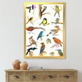 thumbnail image 3 of Designart 'Vital Colored Birds Plancard' Traditional Framed Art Print, 3 of 4