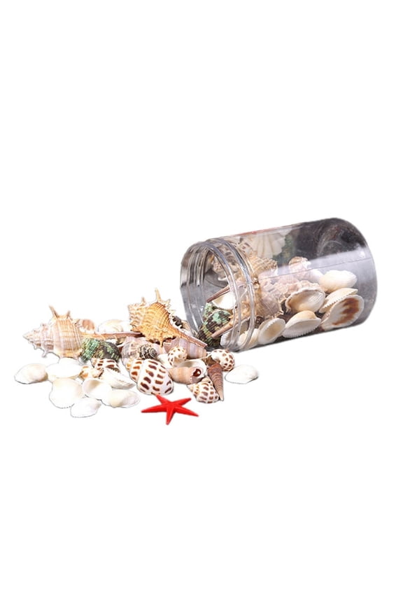 Beach Seashells Decoration Starfish Sea Snail Coral Ornament for Wedding Party