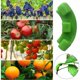 thumbnail image 3 of Doblador de plantas de 90 grados, 30 piezas de ramas de entrenamiento de bajo estrés para dobladores, alicates para doblar, alicates para ramitas Entrenador de plantas de tomate (30, verde), 3 of 5