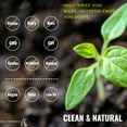 thumbnail image 2 of Vegan Protein Powder Meal Replacement - Peanut Butter - Gluten Sugar Dairy Free Protein Powder - Plant Based Protein Shake with Fava, Mung, Rice, Pea Protein - Low Carb, Keto, 21g, 2 of 10