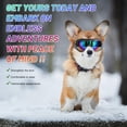 thumbnail image 5 of Gafas de sol para perros NVTED UV, protección contra viento, polvo y niebla (láser), 5 of 5