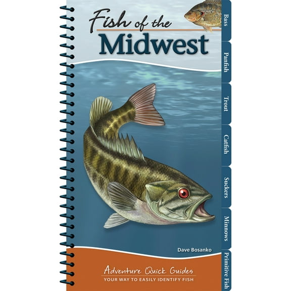 Adventure Quick Guides Fish of the Midwest: Your Way to Easily Identify Fish, (Spiral-Bound)