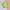 Green, variant on ZOYOEN Little Girls Graphic Sweatshirt- Long Sleeve Pullover Cute Casual Kids Cotton Tops Pink Size 12 Years