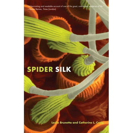 Spider Silk Evolution And 400 Million Years Of Spinning