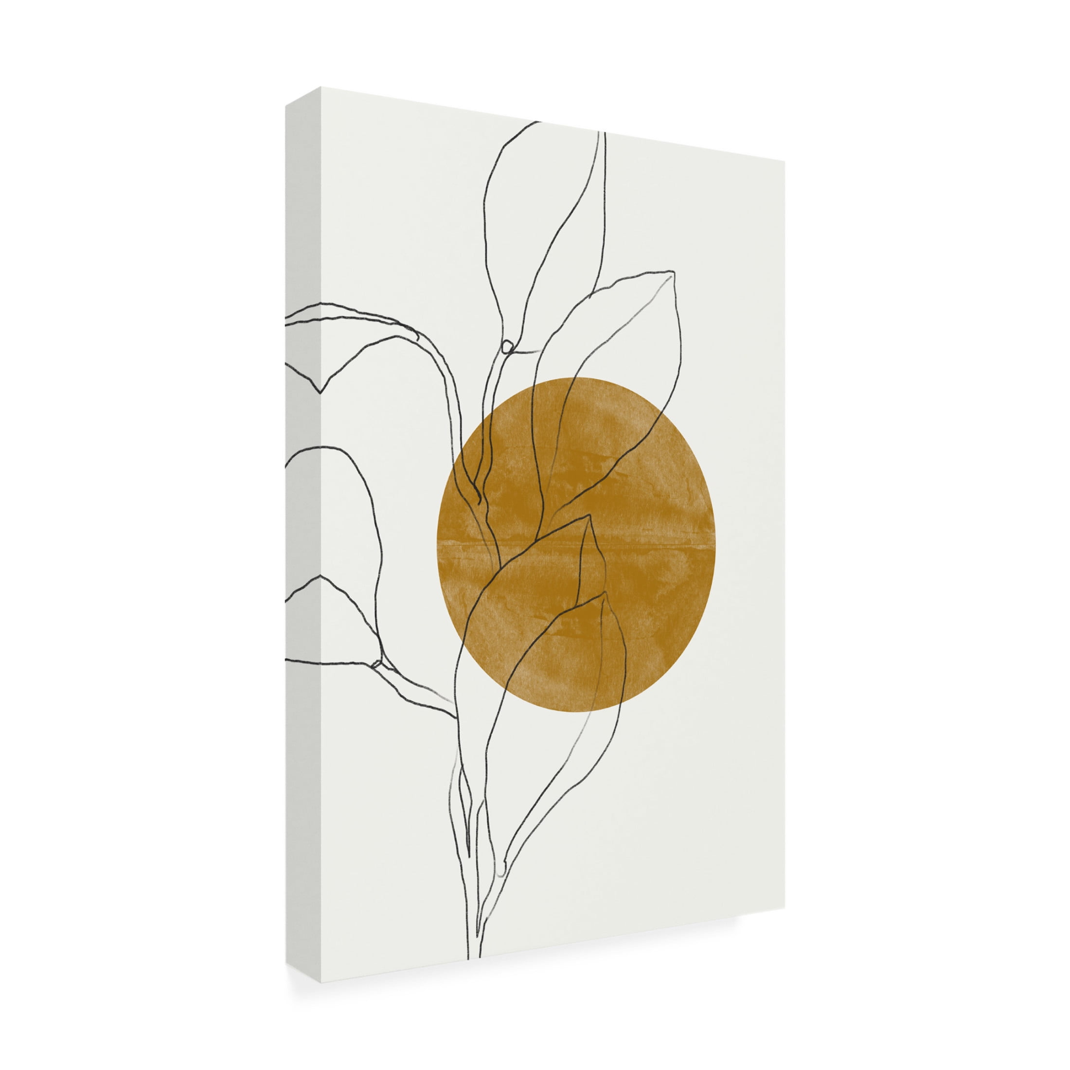 Trademark Fine Art THE MIUUS STUDIO Plant and Sun Canvas Wall Art