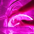 thumbnail image 4 of Wosthever Tira de luces LED de 1/5M, luz de cuerda flexible de neón, impermeable, DC 12V, iluminación exterior Flexible Iluminación y accesorios luz violeta 1M, 4 of 6