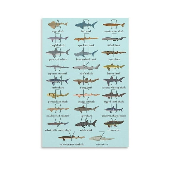 Shark Alphabet Poster for Kids Shark Poster