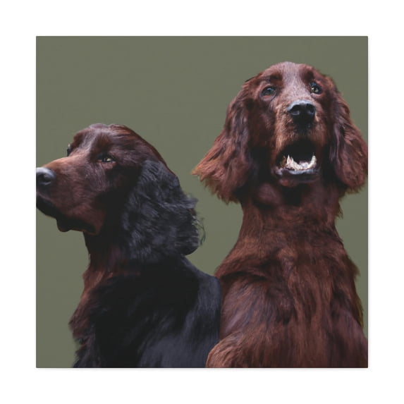 A Simple Irish Setter - Canvas