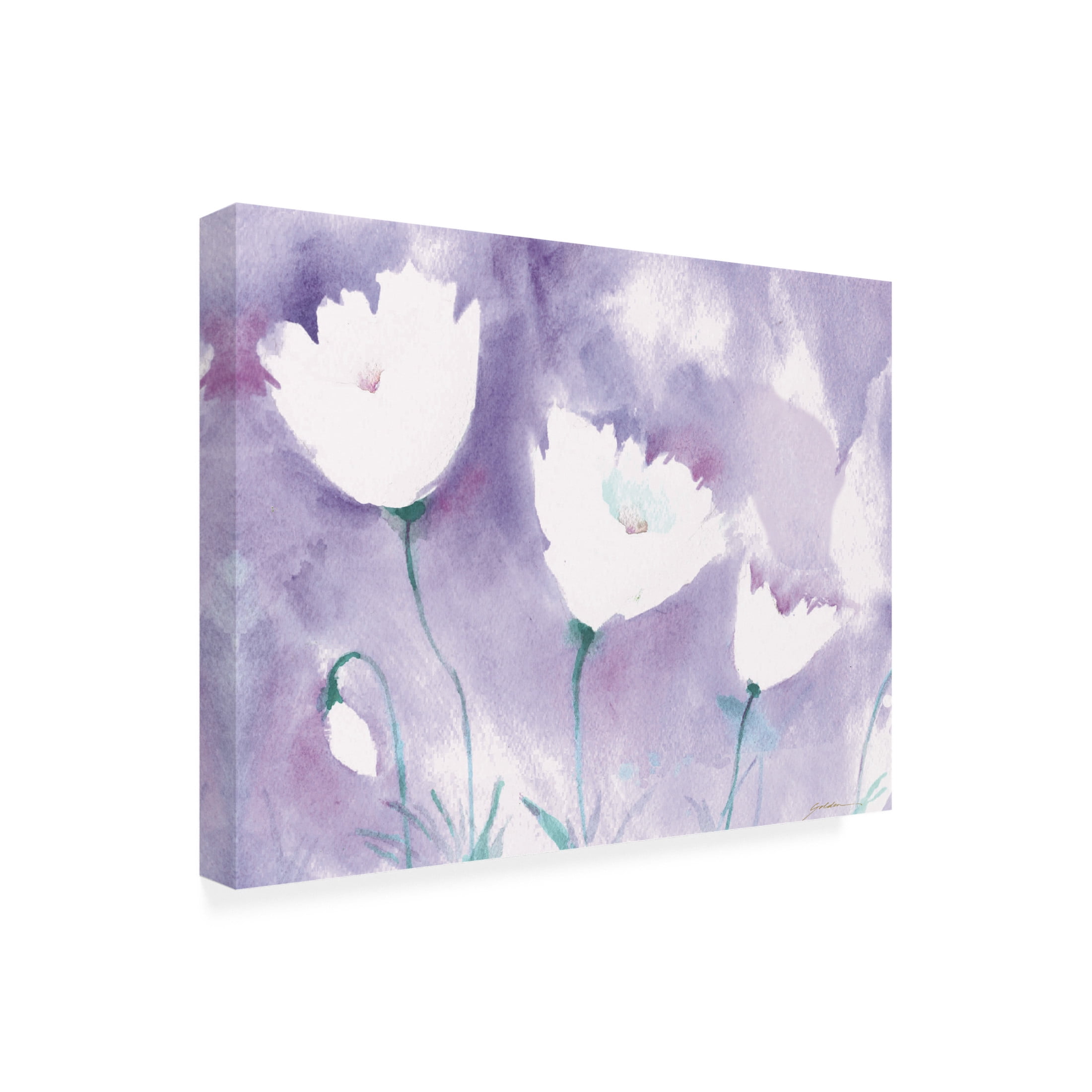 Canvas Wall Art - Sheila Golden 'White Poppy #1' Wall Art for Living Room, Bedroom, or Office Décor by Trademark Fine Art - 47 x 35 Inches