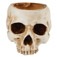 thumbnail image 5 of Joernso Skull Planter Succulents Plan Pot Resin Flowerpot Halloween Sculpture Decor for Home Garden Decoration, 5 of 8