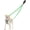 Grass Green, variant on Two Point Control Dog Leash, Works with No Pull Harnesses, No Tangle Dog Training Leashes, No Pull Padded and Reflective Walking Lead, Converts to Single Leash for Medium Large Dogs (Brown)