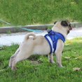 thumbnail image 3 of 1pc Arnés de perro transpirable Chaleco de malla de poliéster Correa Correa de pecho para mascotas (Azul Ndcxsfigh Para estrenar, 3 of 9