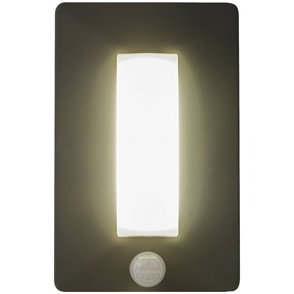 EcoSurvivor 38660 300-Lumen Motion-Sensing Compact Lantern