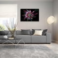 thumbnail image 5 of Epic Art 'Salmon Waratah II' by Elise Catterall, Acrylic Glass Wall Art, 36"x24", 5 of 8