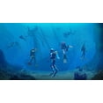 thumbnail image 3 of Endless Ocean™ Luminous (Nintendo Switch), 3 of 7