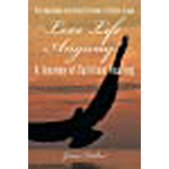 Love Life Anyway!: A Journey of Spiritual Healing (Paperback)