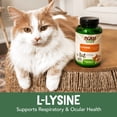 thumbnail image 5 of NOW Pet Health, L-Lysine Supplement, Powder, Formulated for Cats, NASC Certified, 8-Ounce, 5 of 9