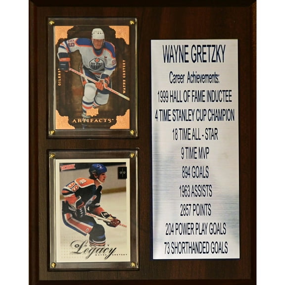 C&I Collectibles NHL Wayne Gretzky Edmonton Oilers Career Stat Plaque 8"X10"