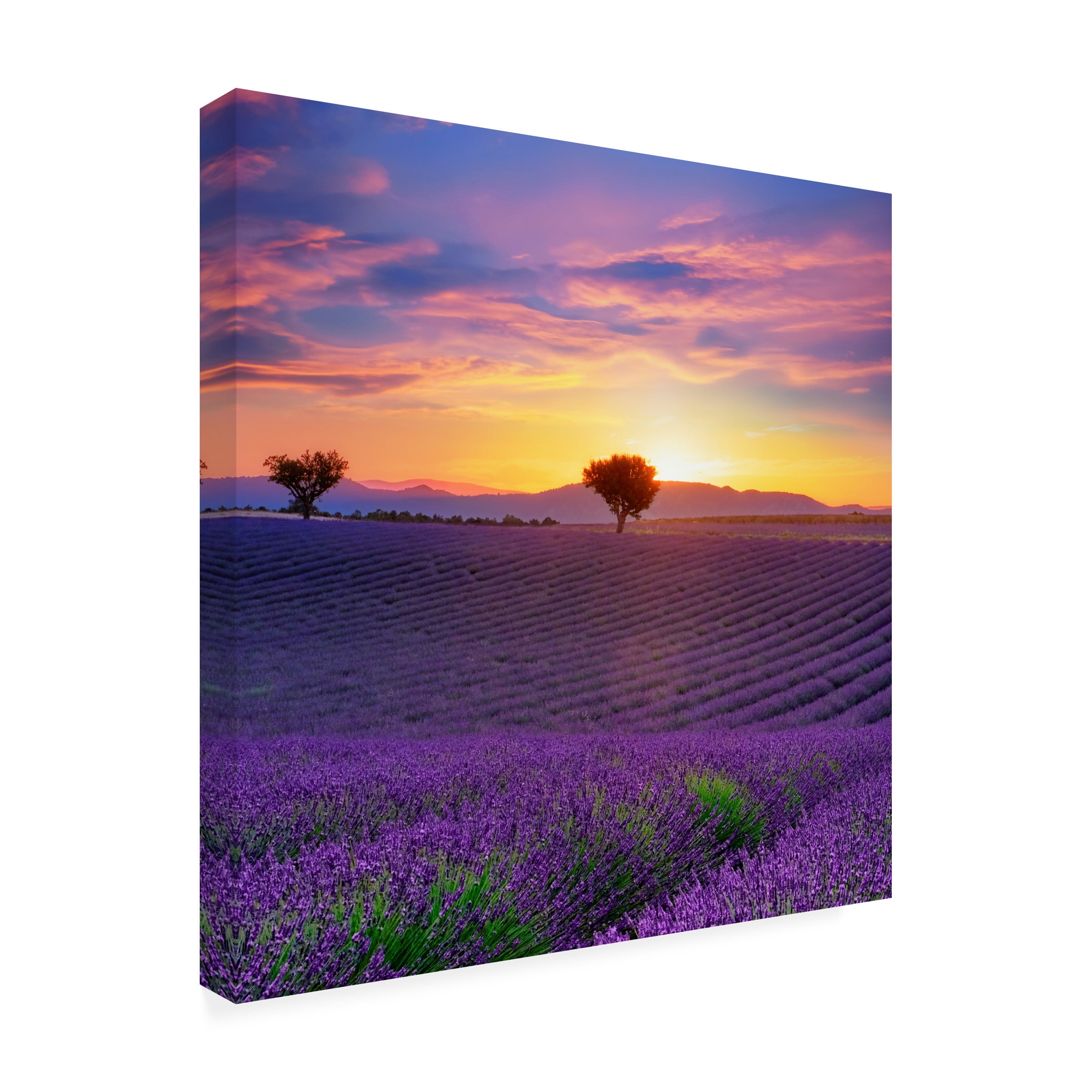 915f698a-af74-4b03-89d2-